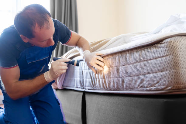 Best Bed Bug Extermination  in Marietta Alderwood, WA